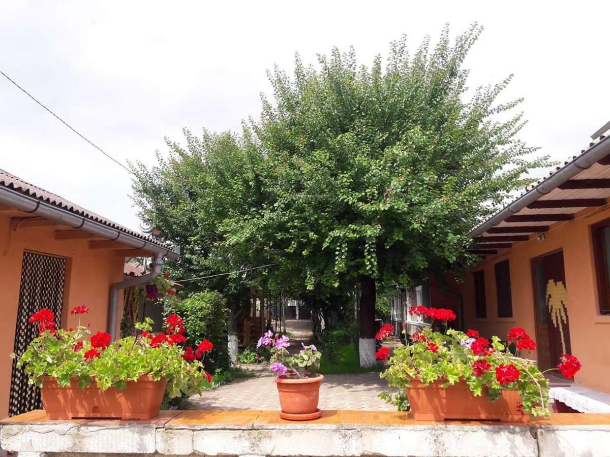 Apartmán Casa Ysa Vama Veche Exteriér fotografie